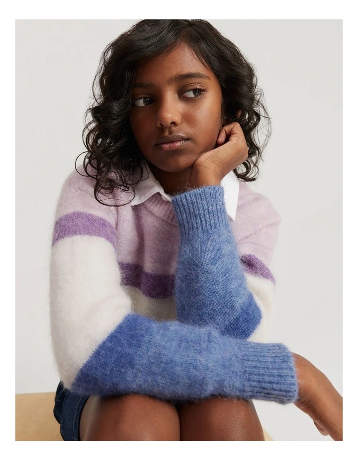 Stripe Knit Pullover in Multi Stripe