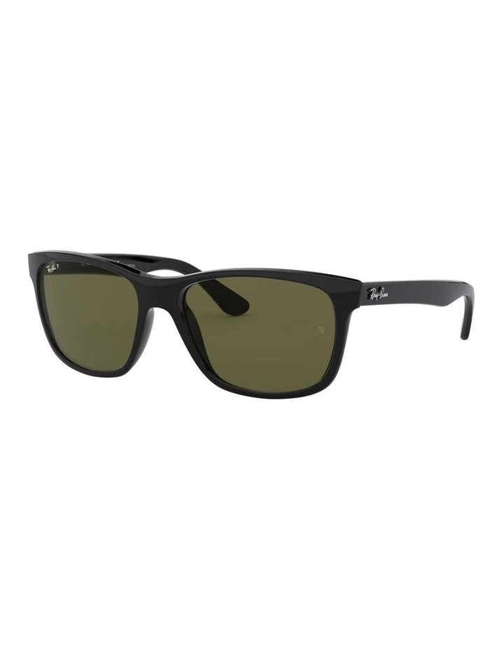 RB4181 Black Polarised Sunglasses