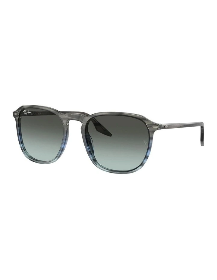 Polarised PR A10S Sunglasses in Tortoise