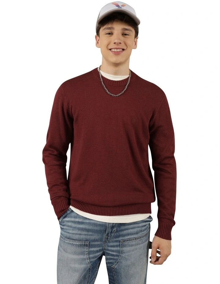 Super Soft Crew Neck Sweater in Maroon