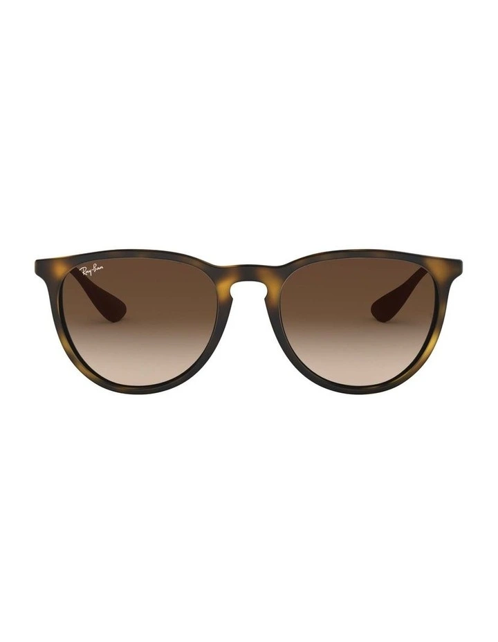 Erika Brown RB4171 Sunglasses