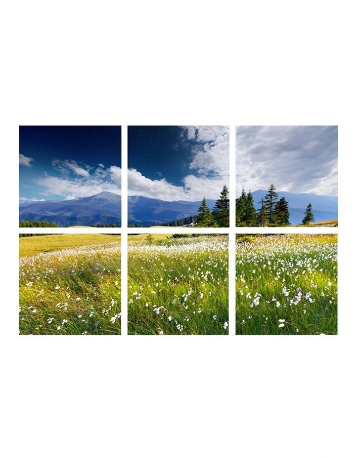Swiss Alps in the Summer Wall Hanging Art in Multi