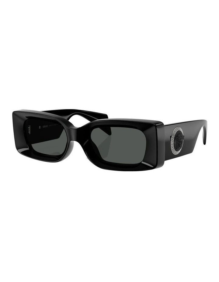 VE4474U Sunglasses in Black