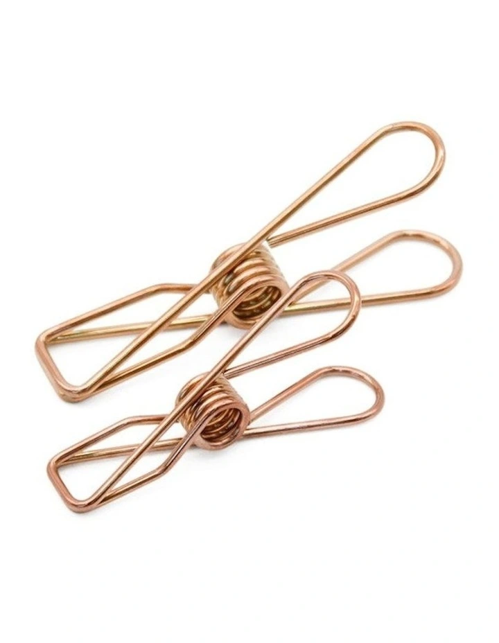 Small & Large Stainless Steel Pegs 40 Pack in Rose Gold