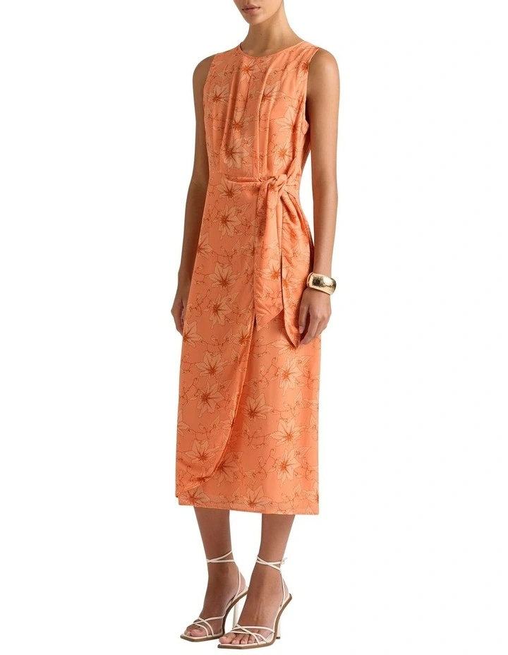 Zane Midi Dress in Salmon Multi
