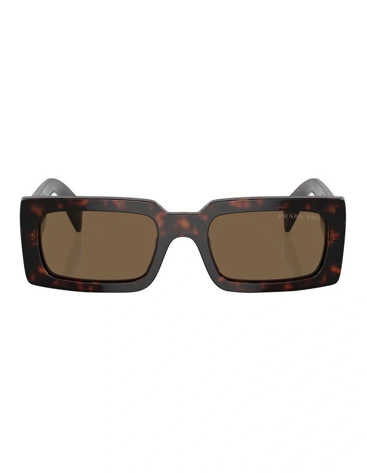 PR A07SF Sunglasses in Brown
