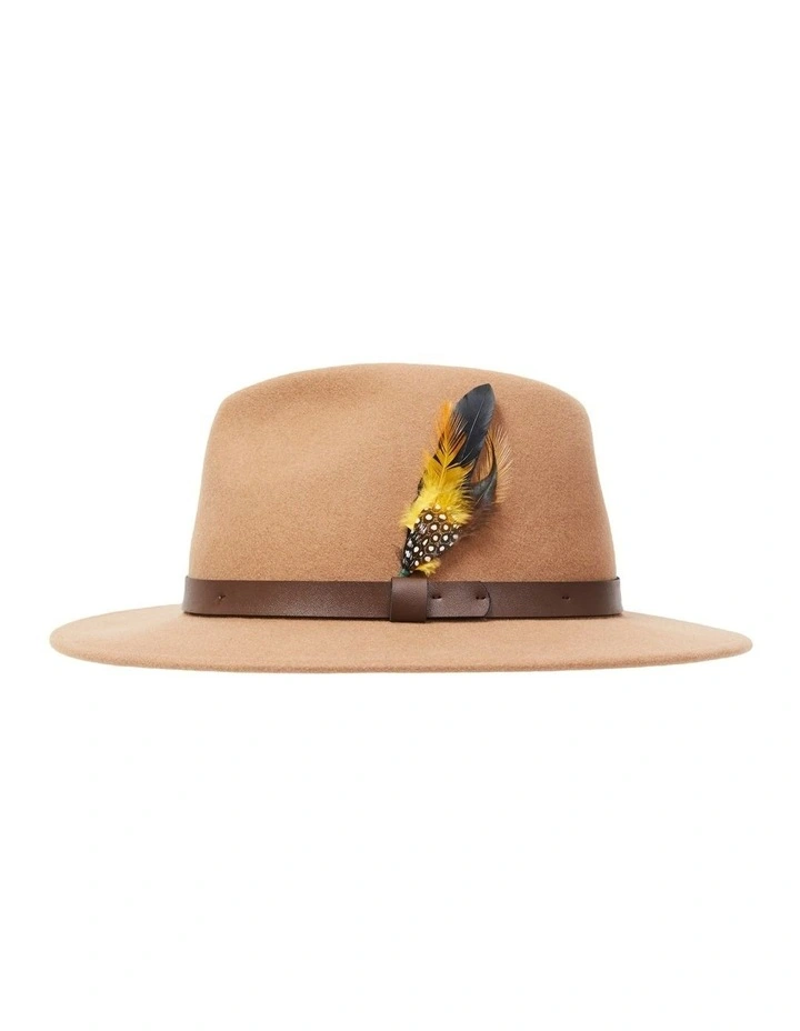 David Fedora in Brown