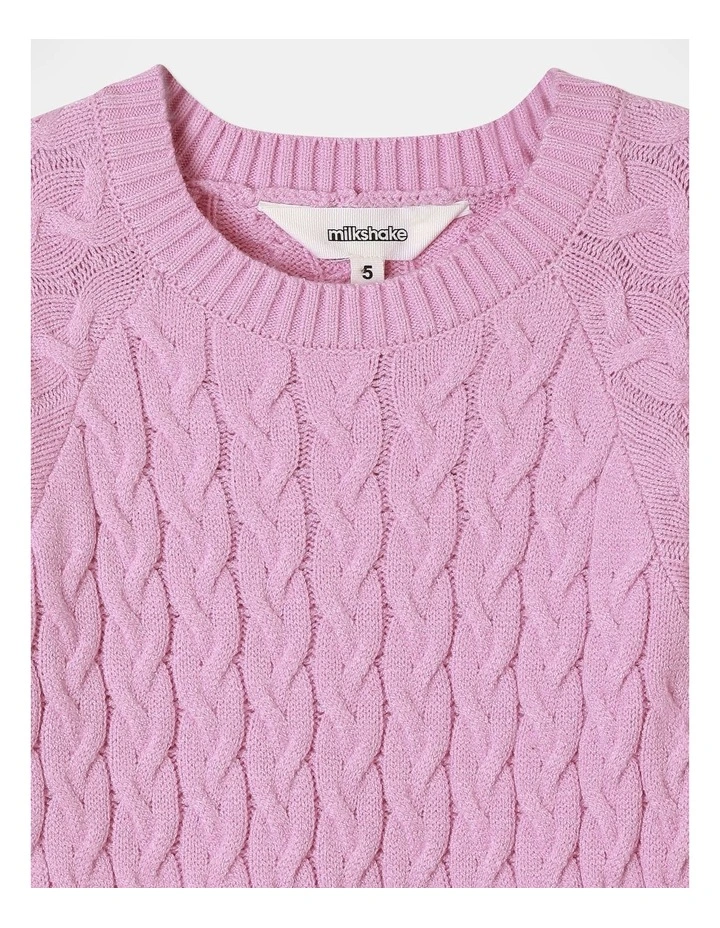 Fashioned Knit Dress in Pink