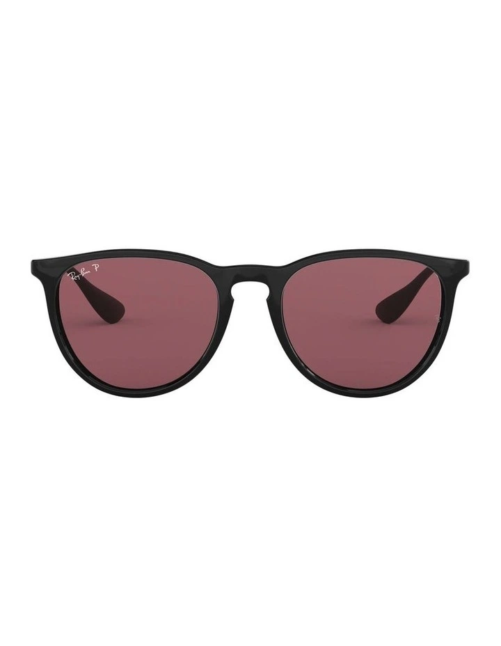 Erika Black RB4171 Polarised Sunglasses