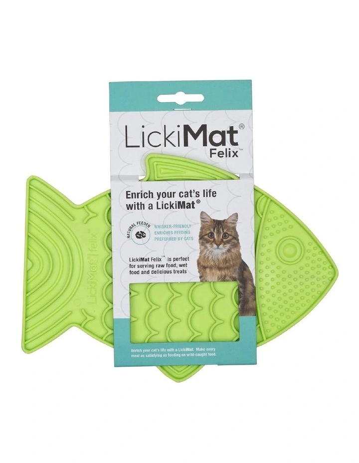 Felix Slow Food Bowl for Cats in Green