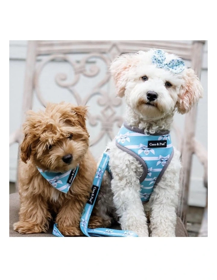 Audrey Dog Harness