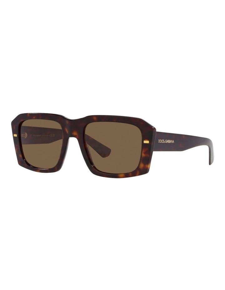 DG4430 Tortoise Sunglasses in Brown