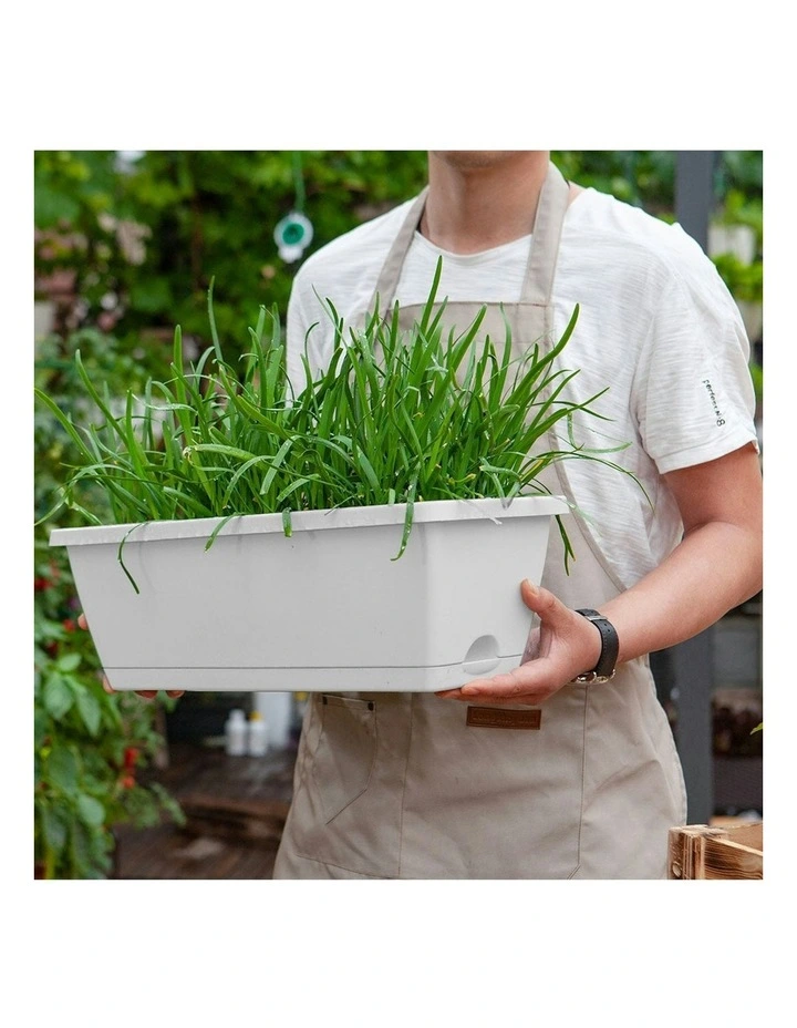 Rectangular Planter Plastic Box with Holder 49.5cm Set of 3 in Grey