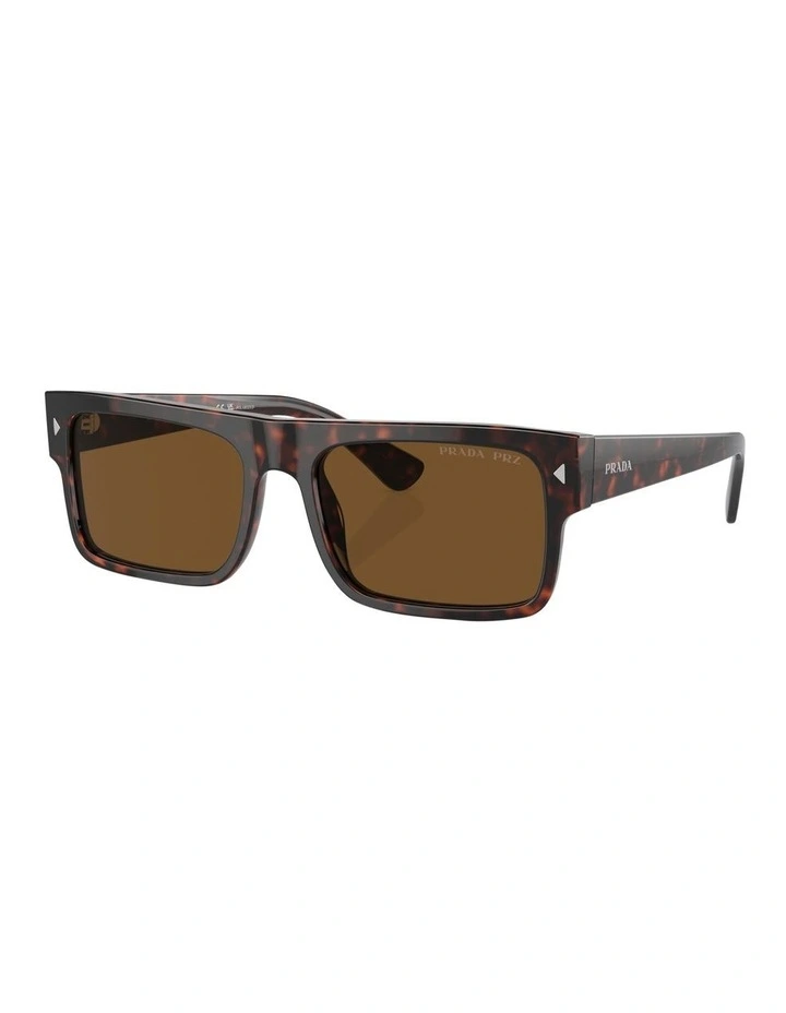 Polarised PR A10S Sunglasses in Tortoise