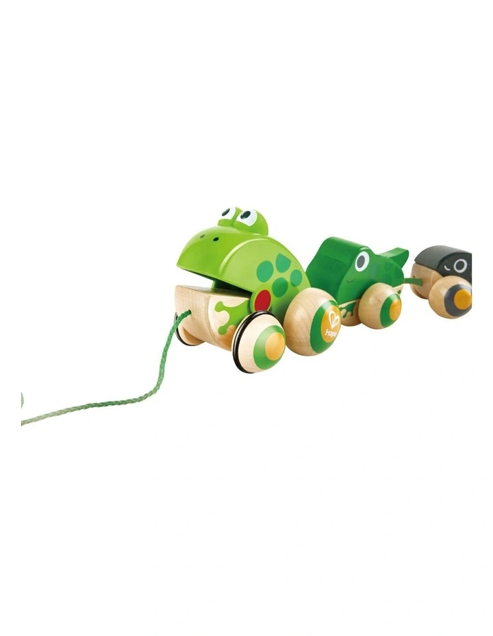 Pull-Along Frog Family Toy
