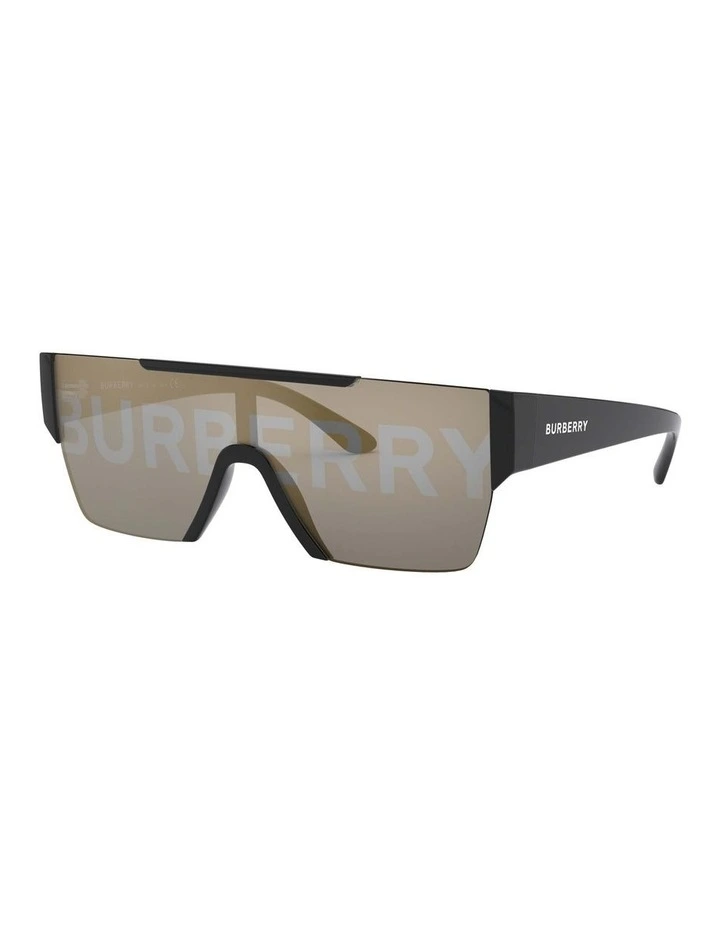 BE4291 Black Sunglasses