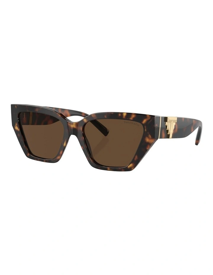 TF4218F Sunglasses in Tortoise