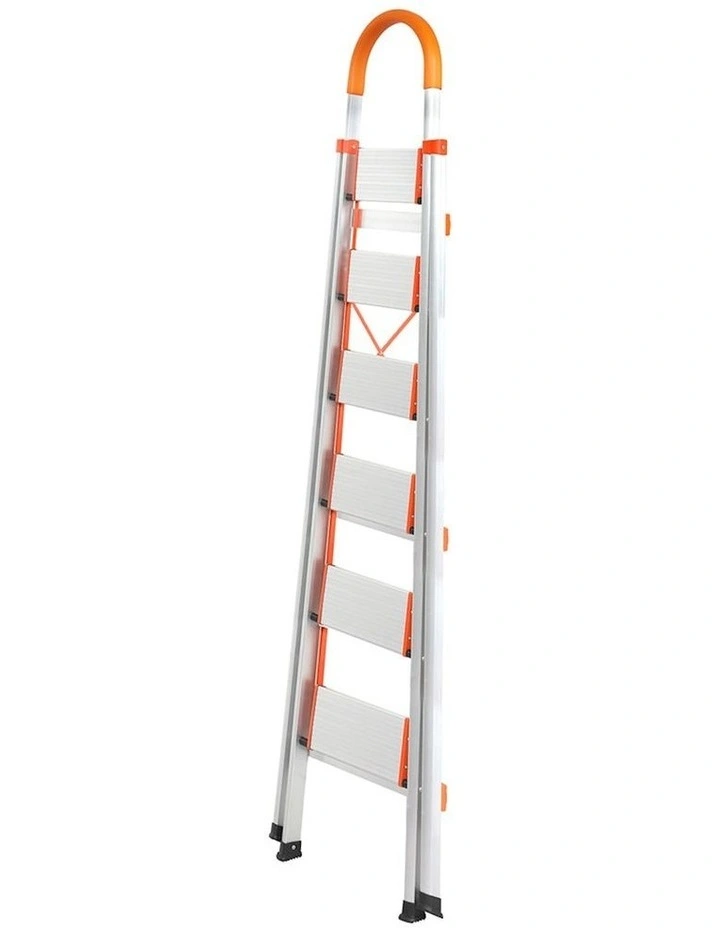 6 Step Ladder in Silver