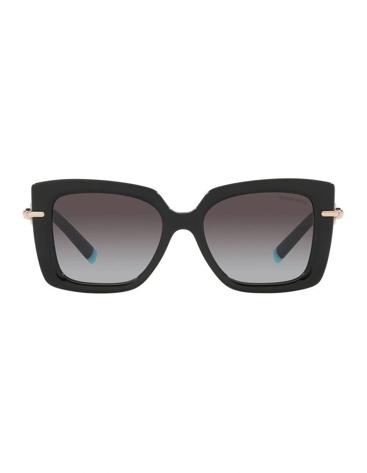 0TF4199F Sunglasses In Black