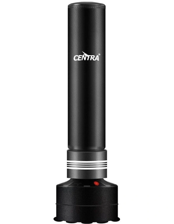 Boxing Punching Bag 170cm in Black