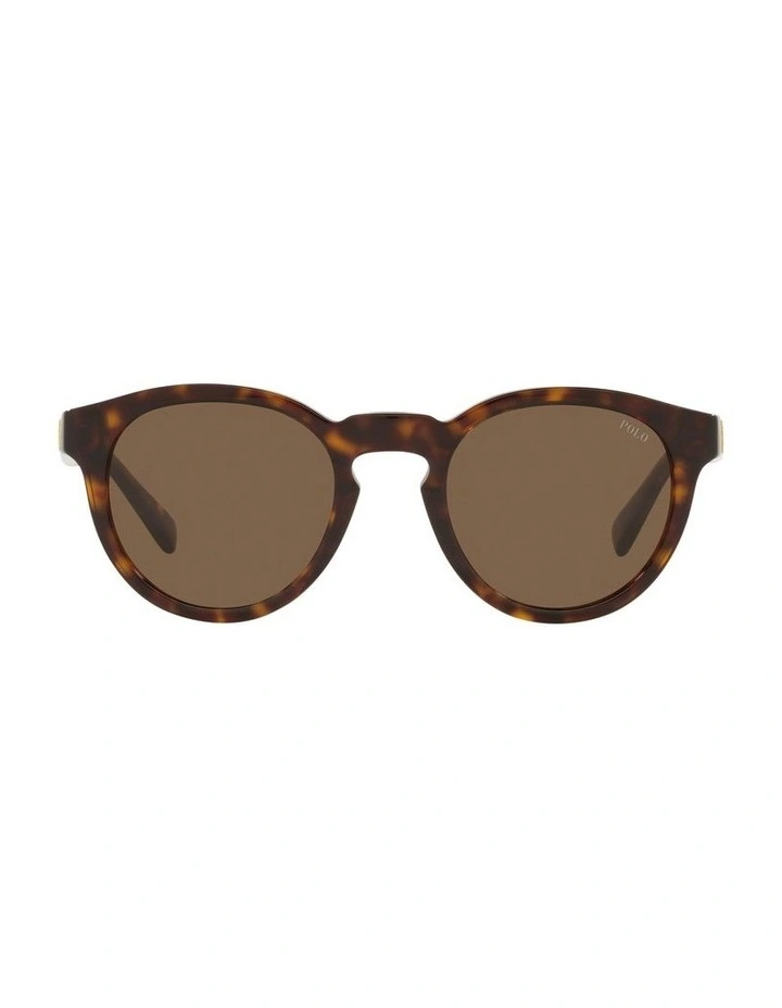 PH4184 Brown Sunglasses