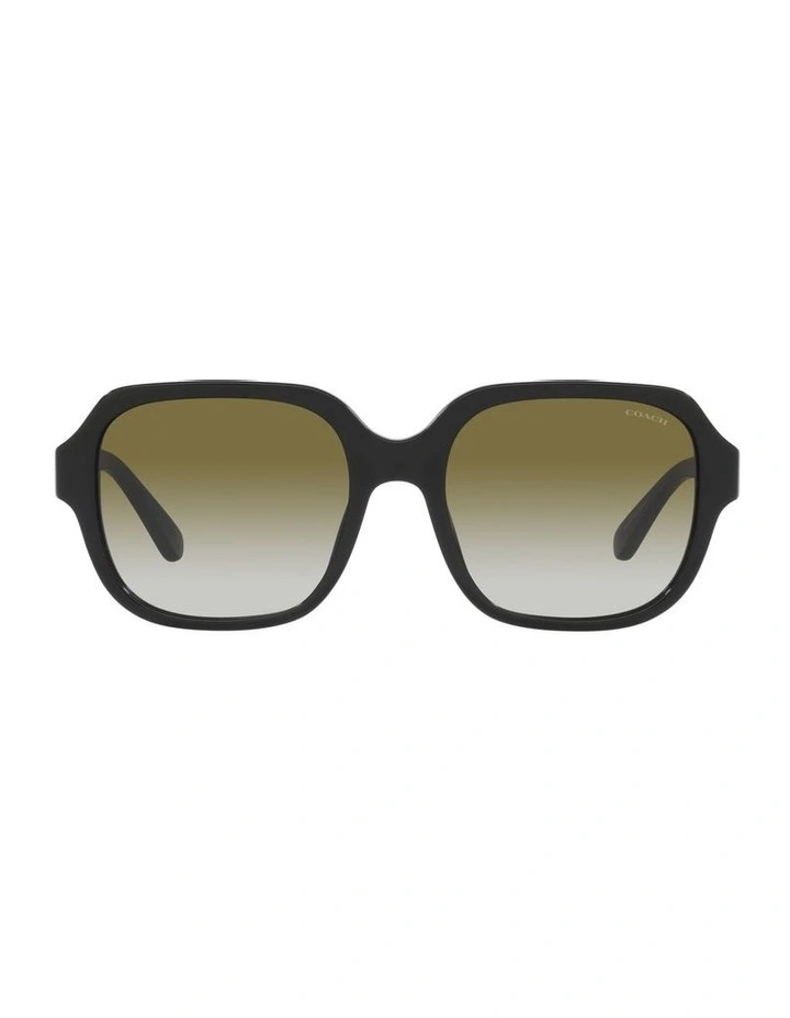 HC8335U C7989 Black Sunglasses