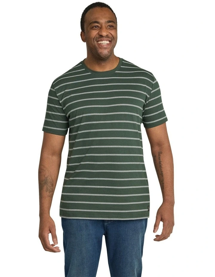 Simple Stripe Tee in Pine