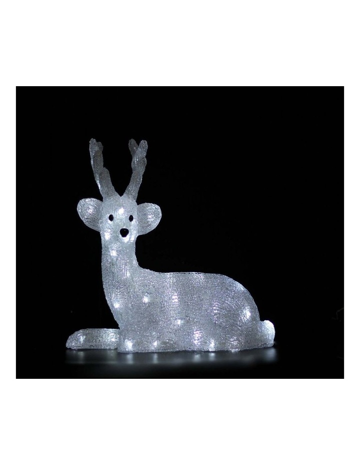Acrylic Sitting Reindeer H46cm