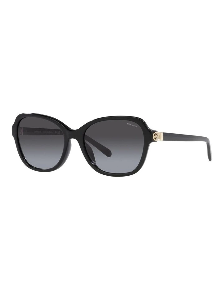 CD481 Sunglasses in Black