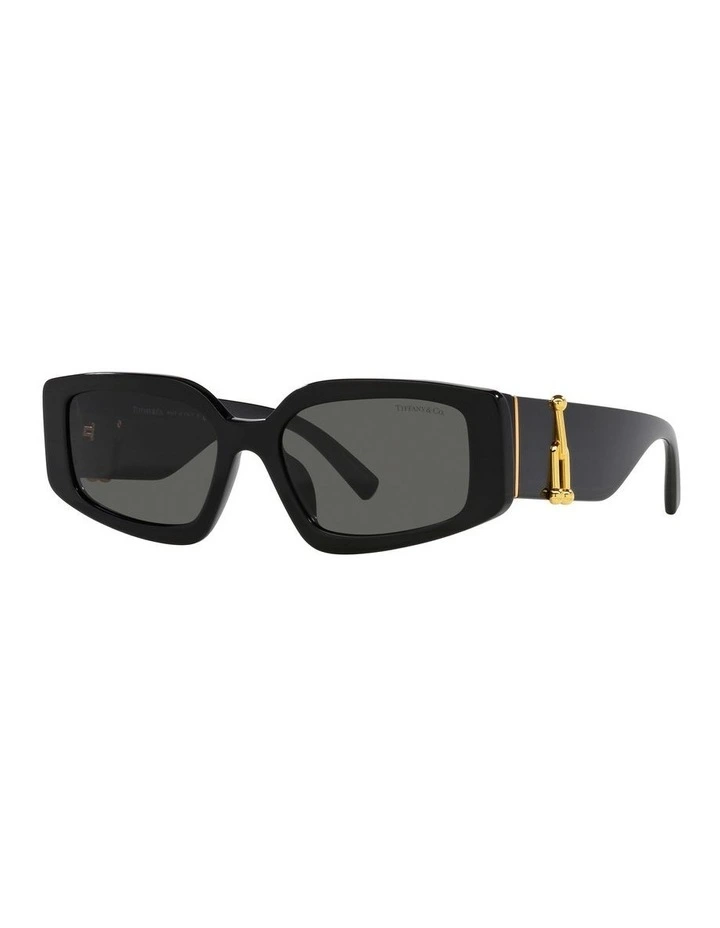 TF4208U Sunglasses in Black