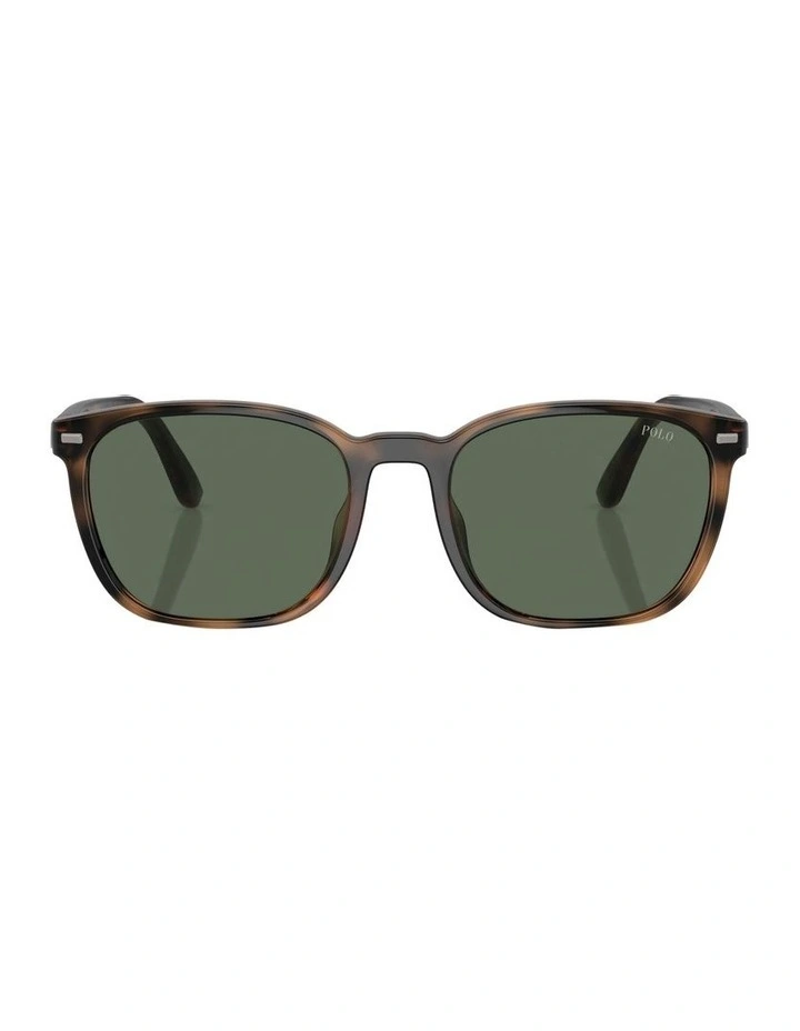 PH4208U Sunglasses in Tortoise