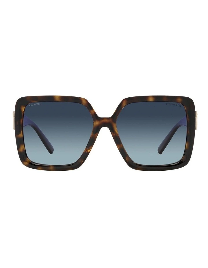 TF4206U Polarised Sunglasses in Tortoise