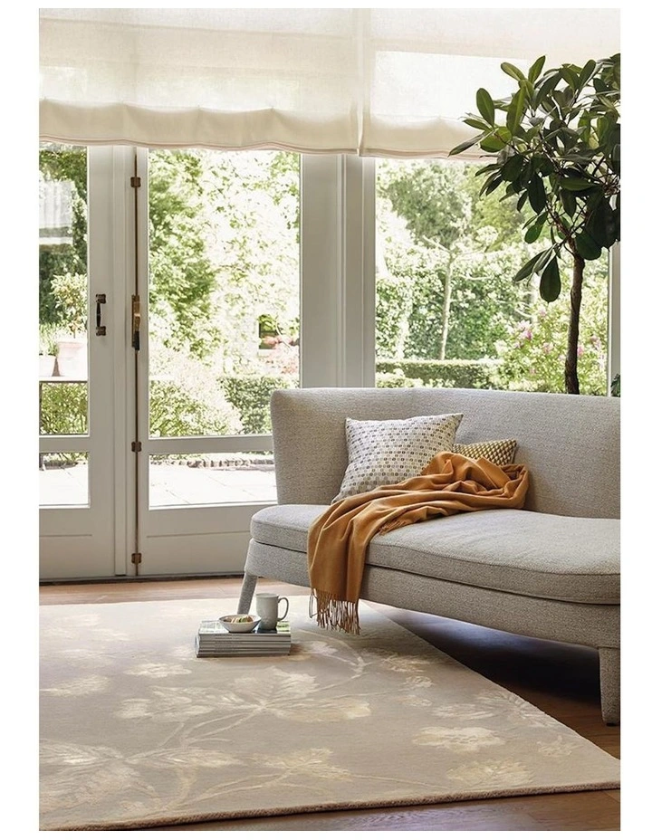 Wild Strawberry Tonal Rug 38201 in Beige