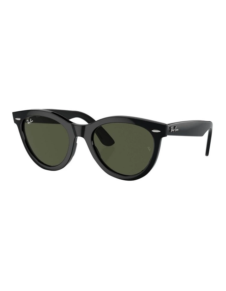 Wayfarer Way Sunglasses in Black