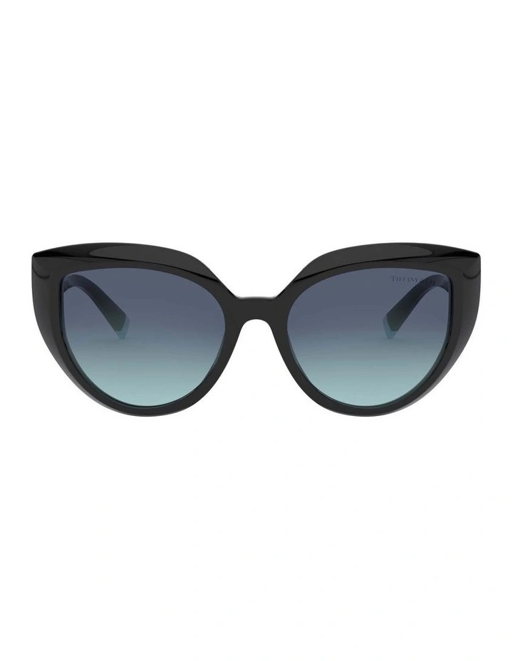 TF4170 Black Sunglasses