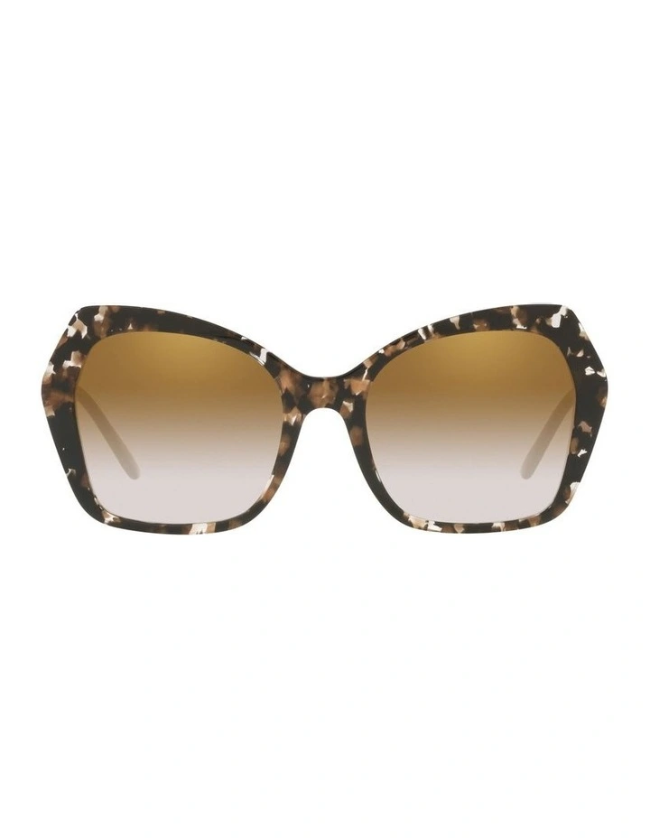 DG4399 Black Sunglasses