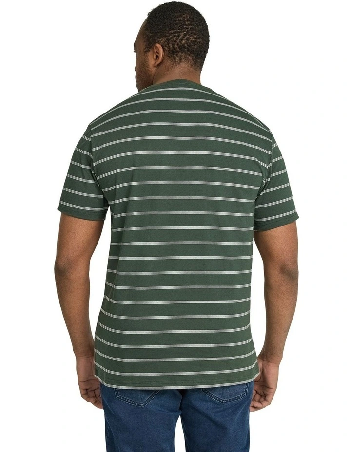 Simple Stripe Tee in Pine