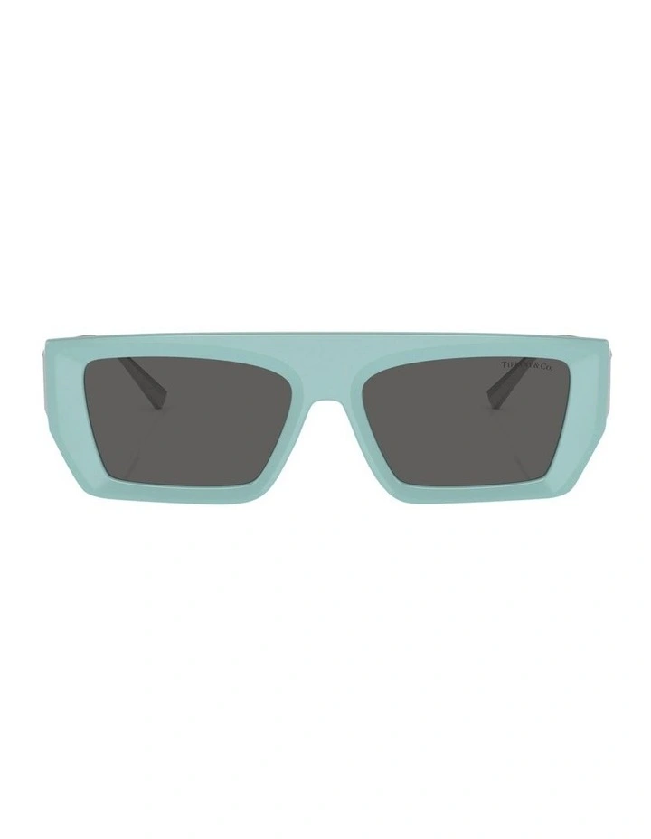 TF4214U Sunglasses in Blue