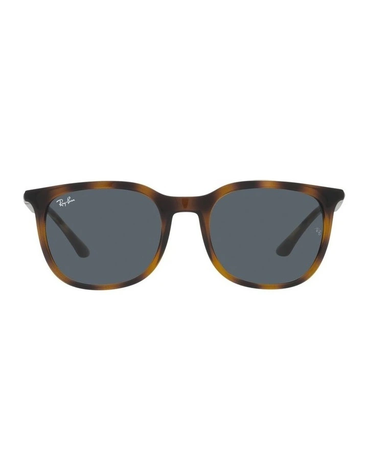 0RB4386 Sunglasses In Havana