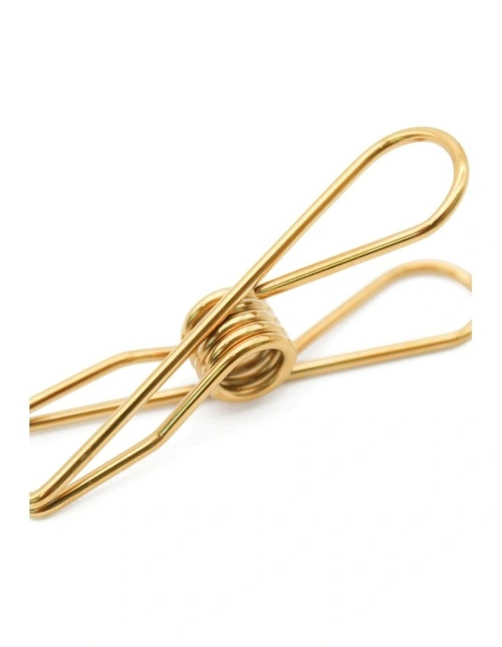 Small Stainless Steel Pegs 40 Pack in Gold