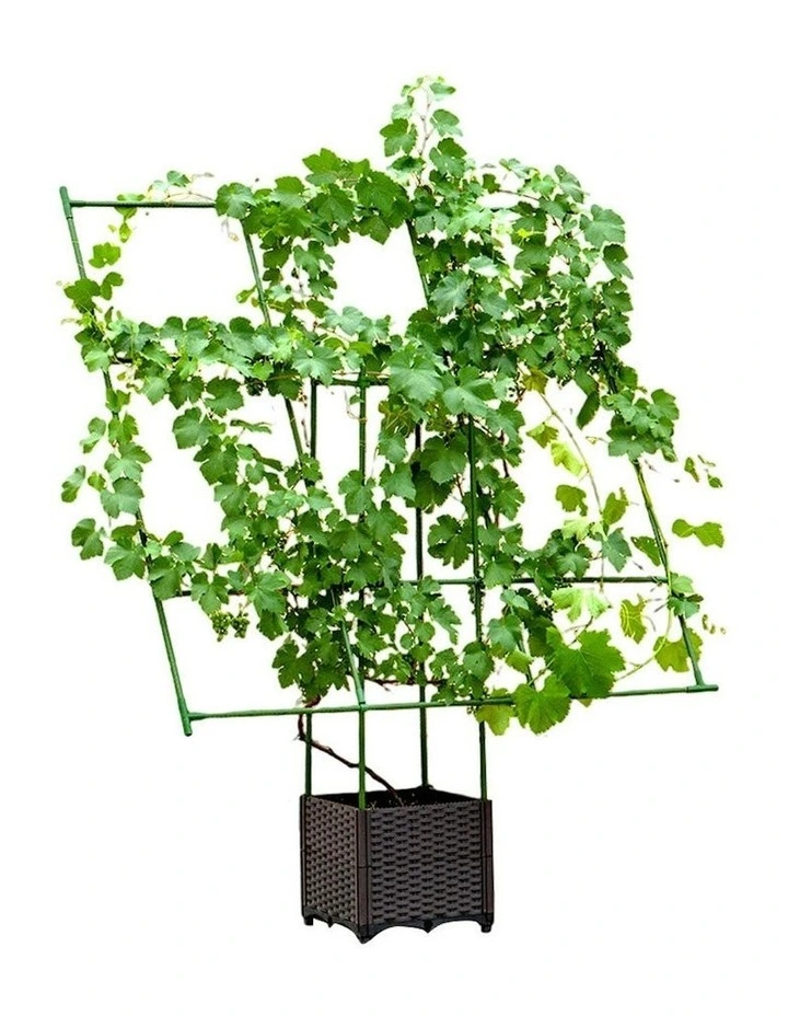 Rectangular Inclined Plant Frame Garden Rack 160cm in Green