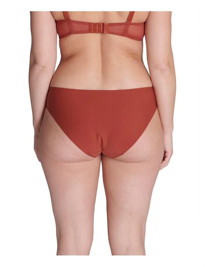 Singuliere Bikini Brief in Sienna