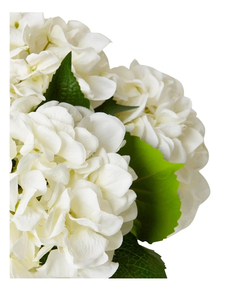 Hydrangea Alma Vase in White