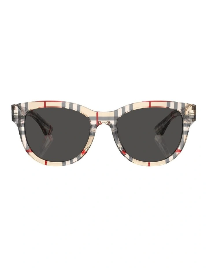 Sunglasses in Brown