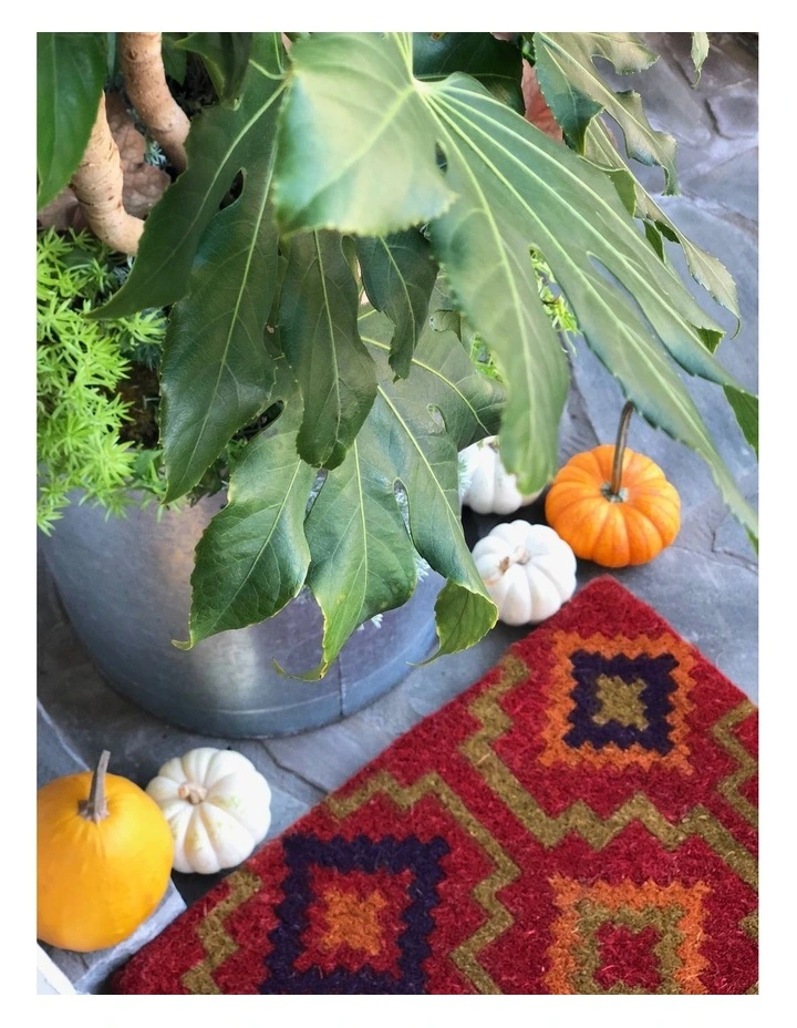 New Lhasa Coir Doormat 45x75 cm