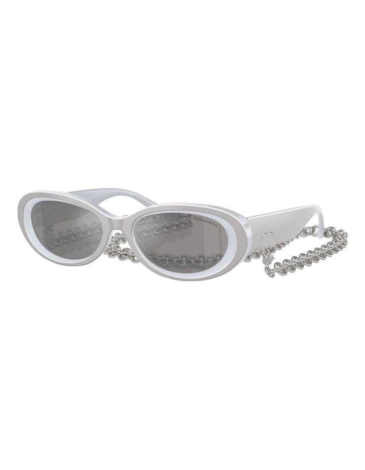 TF4221 Sunglasses in Silver