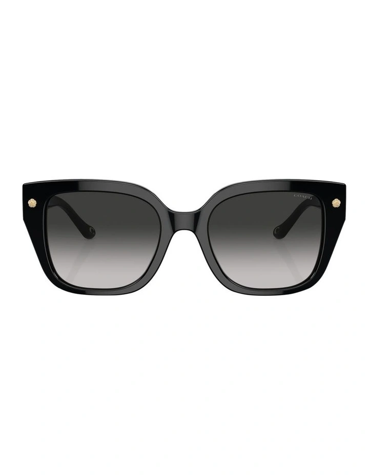 CR611 Sunglasses in Black