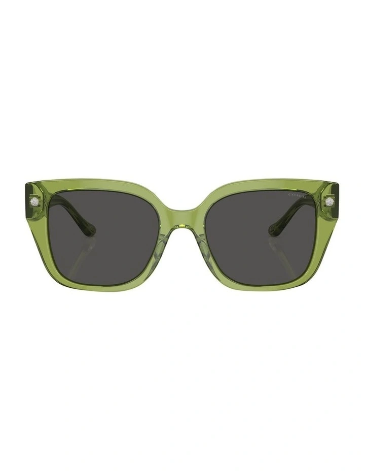 CR611 Sunglasses in Green