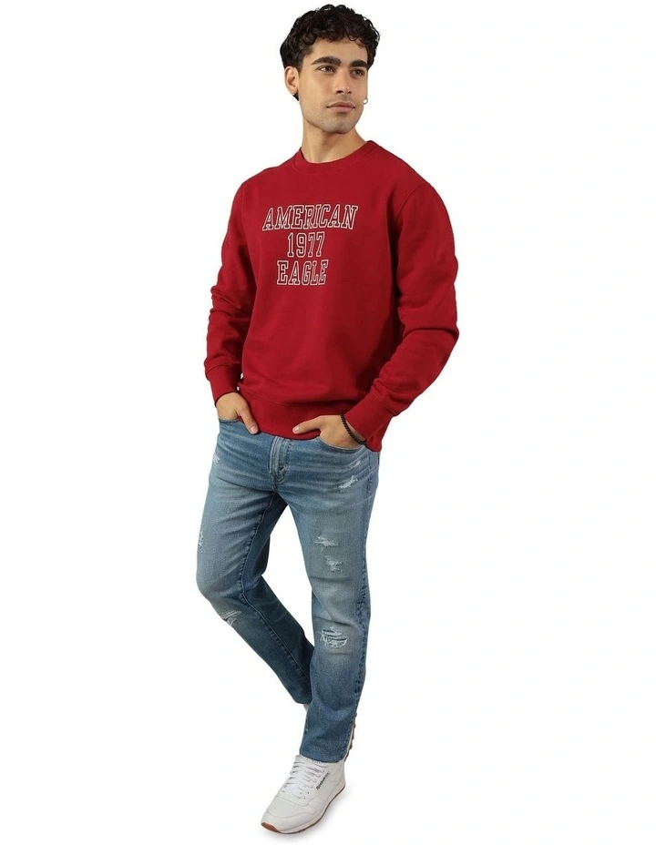 Super Soft Icon Graphic Crew Sweatshirt in Red