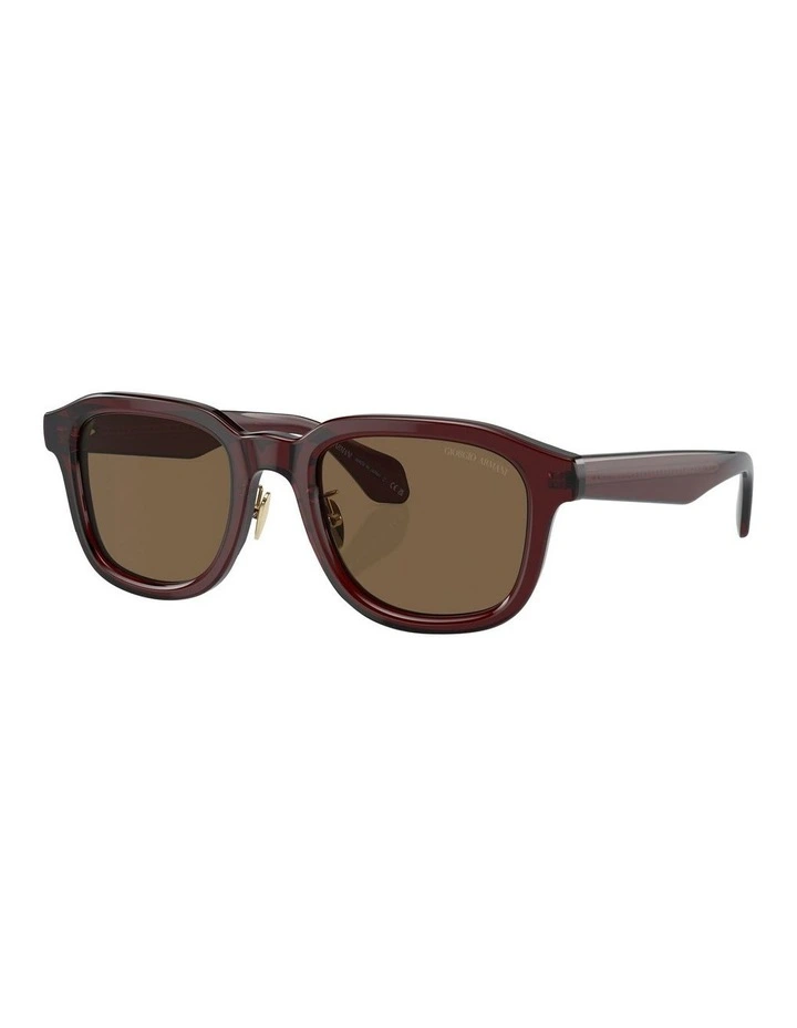 AR8206 Sunglasses in Brown